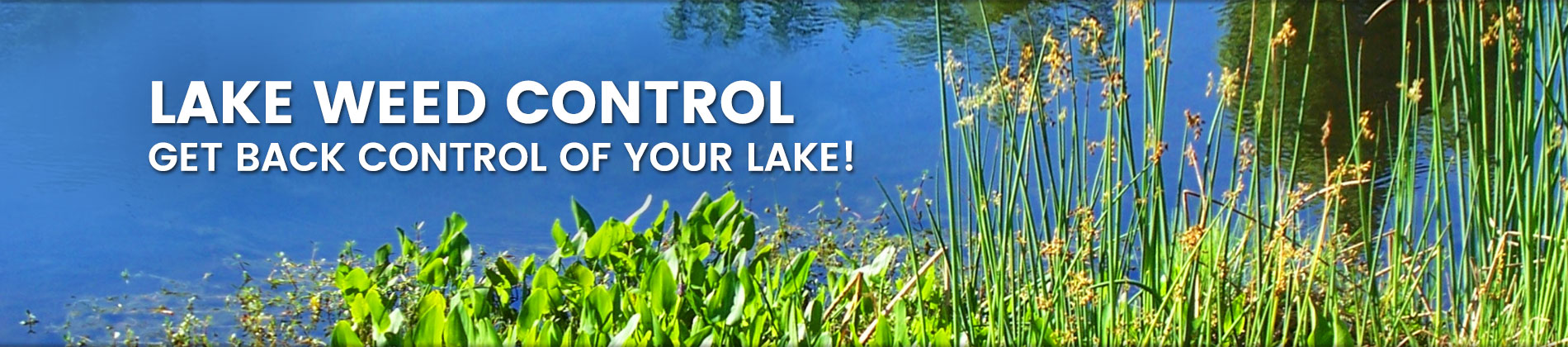 Lake Weed Control