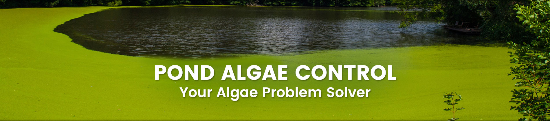 Pond Algae Control