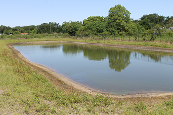 Retention Pond in Lake County After Cleaning